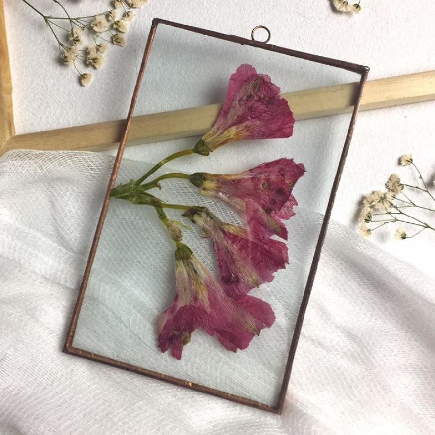 I Quit My Job To Follow My Passion Of Delicate Framed Herbariums I Quit My Job To Follow My Passion Of Delicate Framed Herbariums