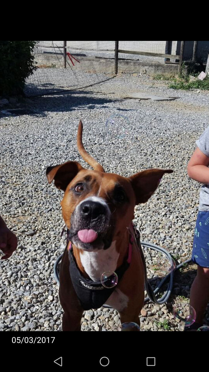 Margot, Catching Soap Bubbles