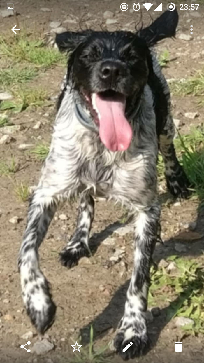 She Was Having Some Wet Fun