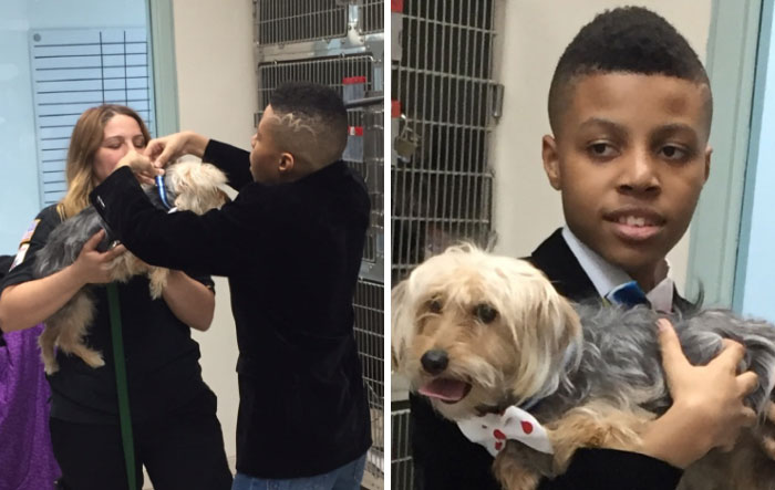 12-Year-Old Kid Makes Shelter Cats And Dogs Stylish Bow Ties To Help Them Find A Home 12-Year-Old Kid Makes Shelter Cats And Dogs Stylish Bow Ties To Help Them Find A Home