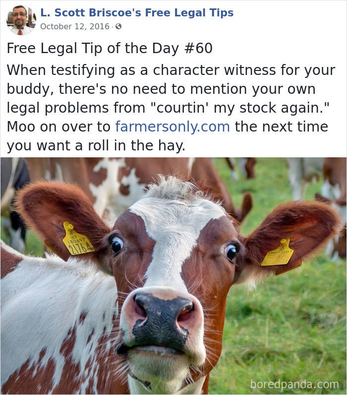 Hilarious-Free-Legal-Tips-Lawyer-L-Scott-Briscoe