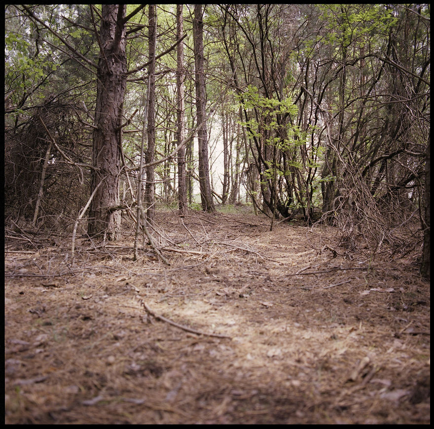 I Went To Chernobyl With My Hasselblad 500c Analog Camera And Came Back With Goosebumps And These Photographs I Went To Chernobyl With My Hasselblad 500c Analog Camera And Came Back With Goosebumps And These Photographs