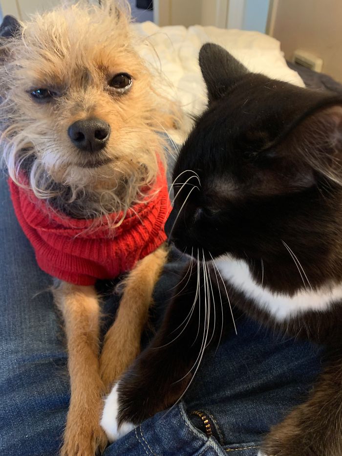 Huey (On The Left) Bonding With His Brother Gary