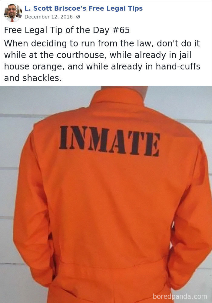 Hilarious-Free-Legal-Tips-Lawyer-L-Scott-Briscoe