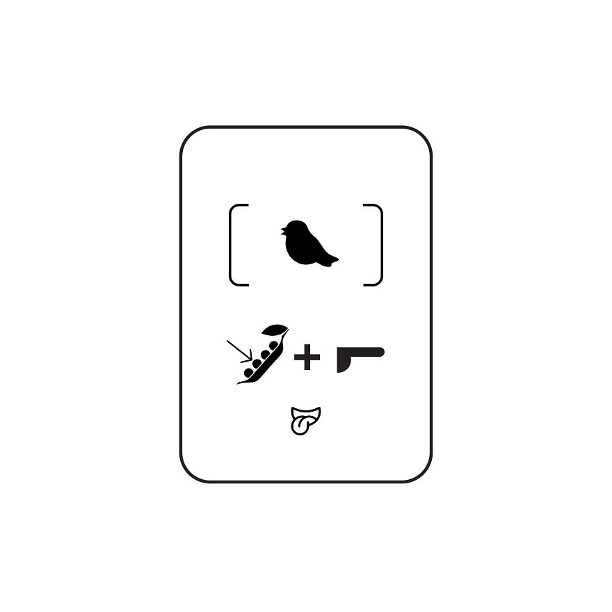 Can You Name An Animal? Level – Medium