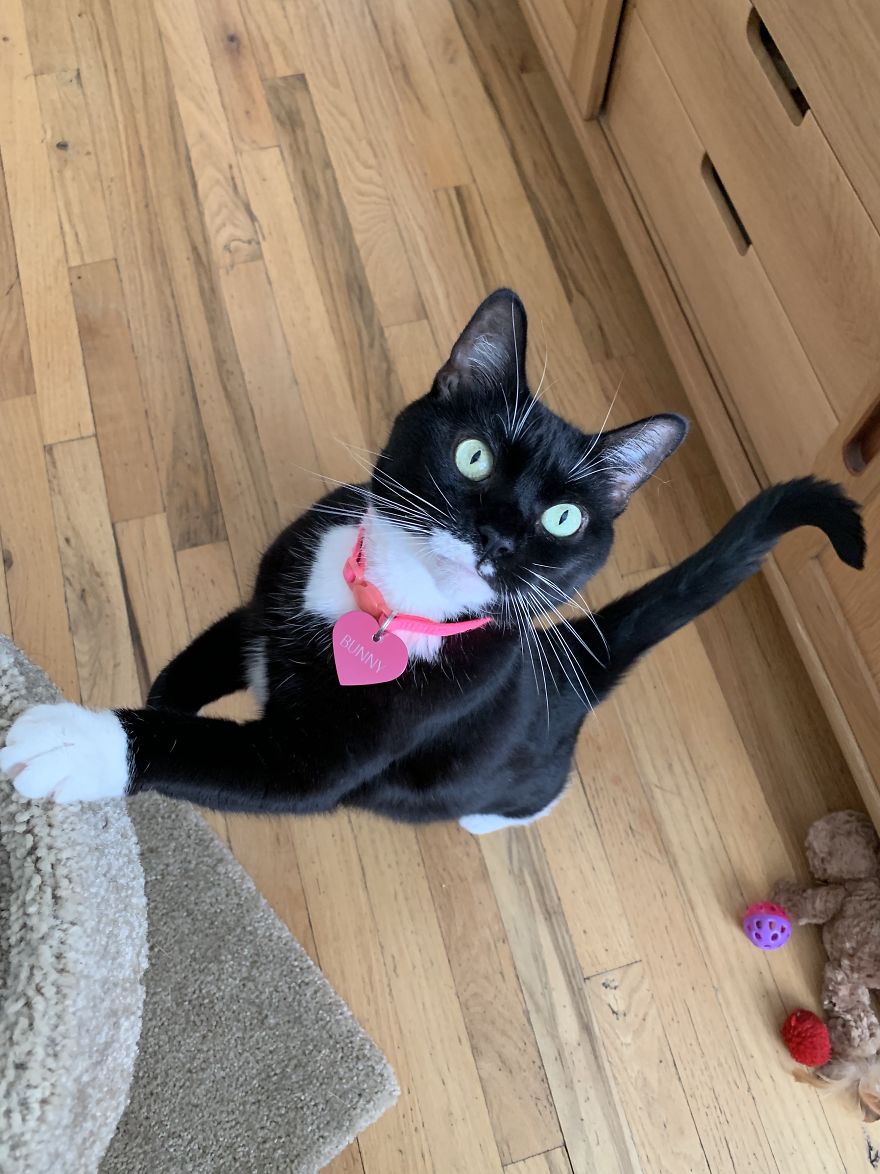 We Met Our Cat's Rescuers, And Yes, There Were Tears!