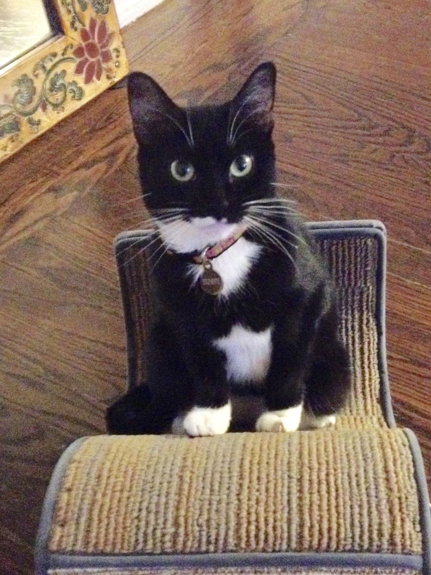 We Met Our Cat's Rescuers, And Yes, There Were Tears!