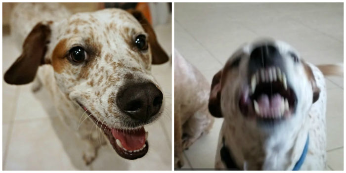 Willie - Online Dating Pic vs. In Real Life Pic