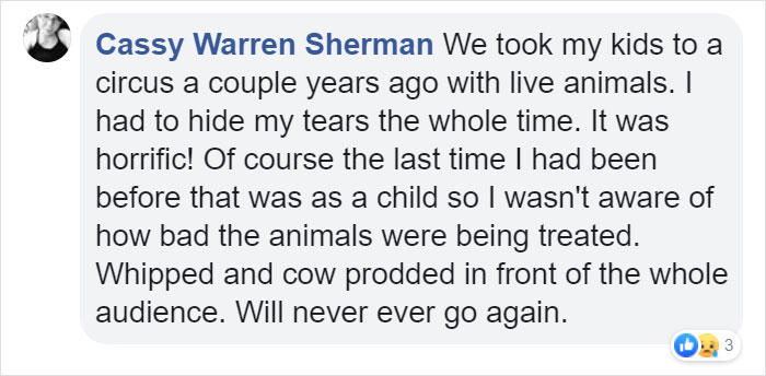 German Circus Uses Holograms Instead Of Live Animals For A Cruelty-Free Magical Experience