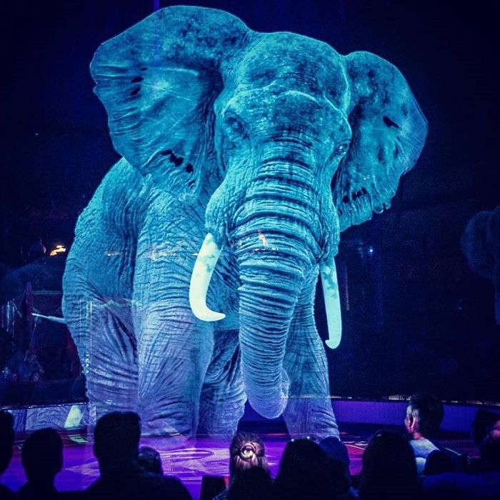 German Circus Uses Holograms Instead Of Live Animals For A Cruelty-Free Magical Experience German Circus Uses Holograms Instead Of Live Animals For A Cruelty-Free Magical Experience