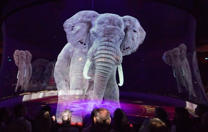 German Circus Uses Holograms Instead Of Live Animals For A Cruelty-Free Magical Experience German Circus Uses Holograms Instead Of Live Animals For A Cruelty-Free Magical Experience