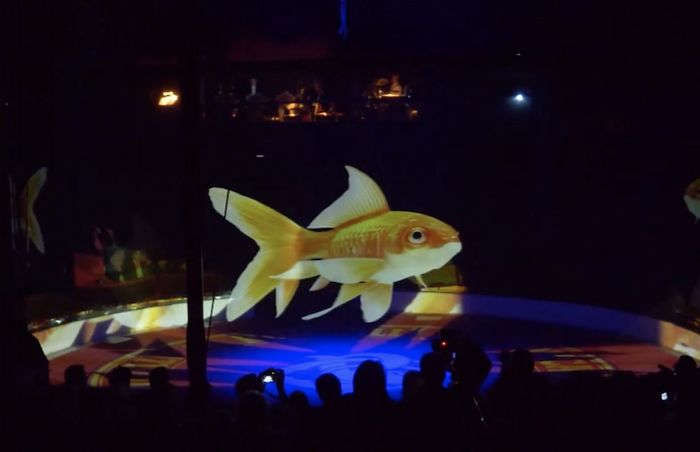 German Circus Uses Holograms Instead Of Live Animals For A Cruelty-Free Magical Experience German Circus Uses Holograms Instead Of Live Animals For A Cruelty-Free Magical Experience
