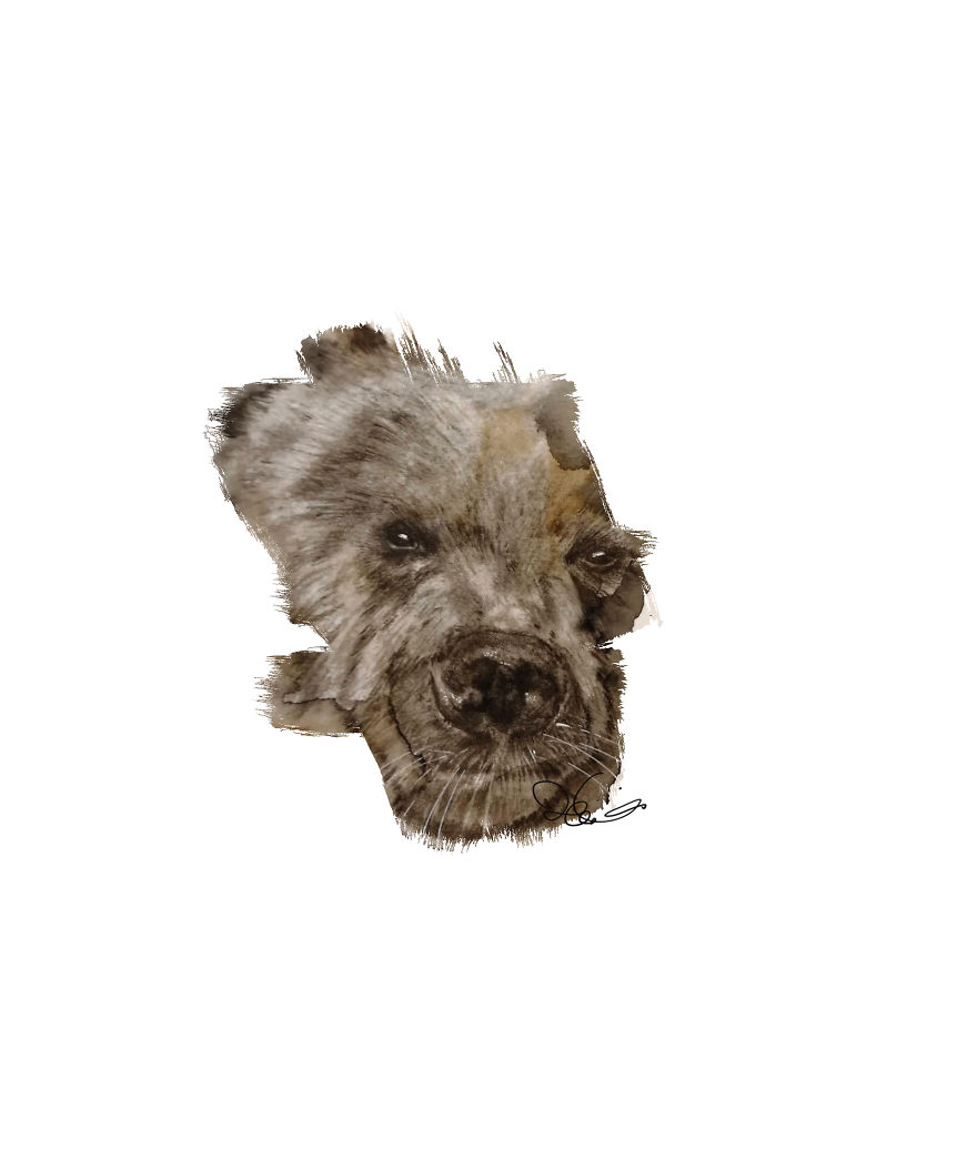 I Started Drawing Animals For First Time In Years And Learned A New Art Style Along The Way I Started Drawing Animals For First Time In Years And Learned A New Art Style Along The Way