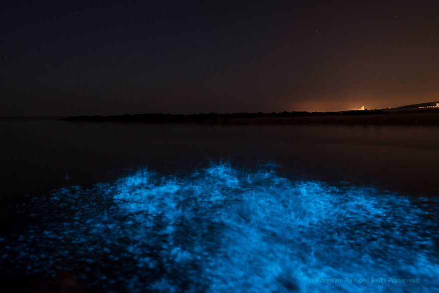 My 10 Fairy-Like Pics Show The Presence Of Sea Sparkle On The Dutch Coast My 10 Fairy-Like Pics Show The Presence Of Sea Sparkle On The Dutch Coast