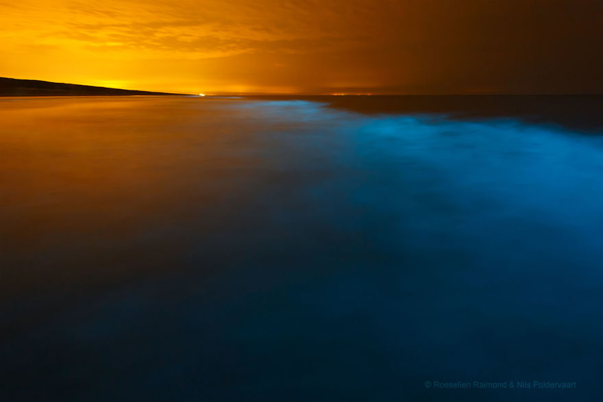 My 10 Fairy-Like Pics Show The Presence Of Sea Sparkle On The Dutch Coast My 10 Fairy-Like Pics Show The Presence Of Sea Sparkle On The Dutch Coast