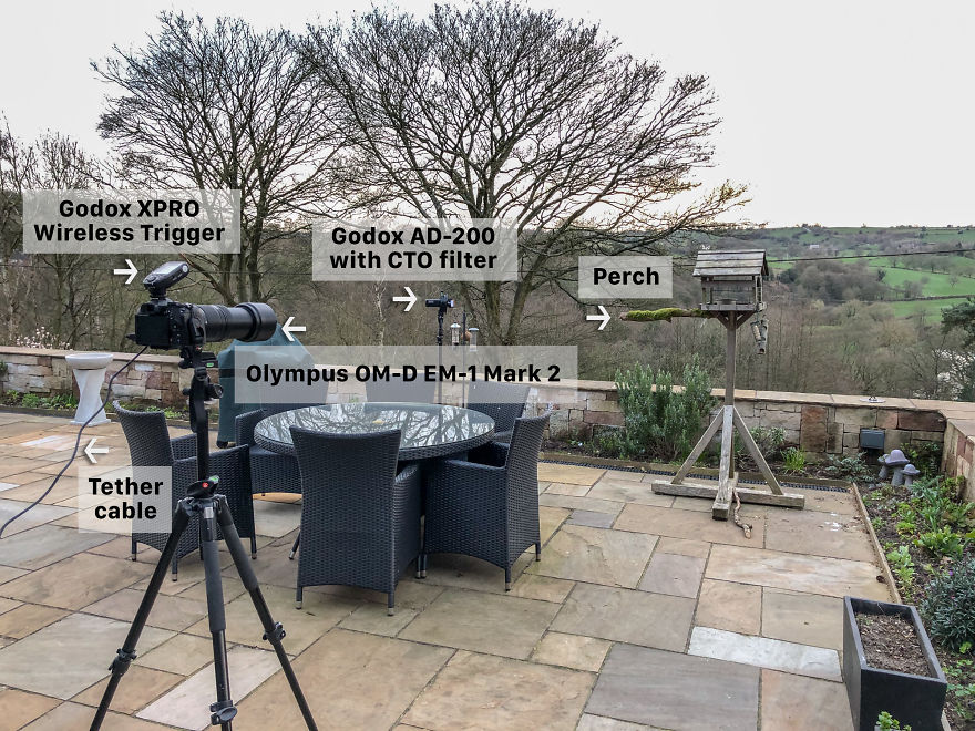 After Getting Criticized For Bird Photos I Started Setting Up Photo Stages For Them (16 Pics) After Getting Criticized For Bird Photos I Started Setting Up Photo Stages For Them (16 Pics)