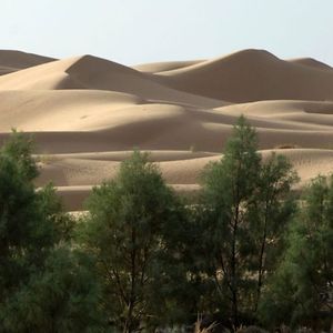 martatavares22 avatar