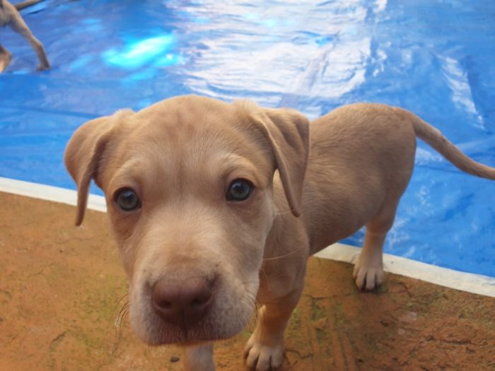 Very Sweet Margot...