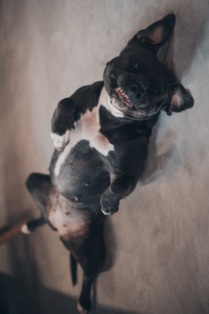 This Is How She Sleeps...