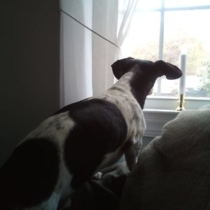 march_of_ides avatar