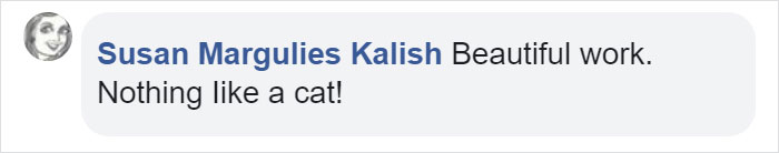 This Is What Happens When A Photographer Babysits Your Cat (10 Pics)