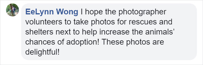 This Is What Happens When A Photographer Babysits Your Cat (10 Pics) This Is What Happens When A Photographer Babysits Your Cat (10 Pics)