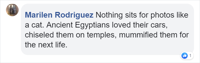 This Is What Happens When A Photographer Babysits Your Cat (10 Pics) This Is What Happens When A Photographer Babysits Your Cat (10 Pics)