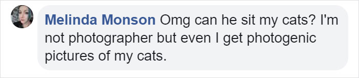 This Is What Happens When A Photographer Babysits Your Cat (10 Pics)