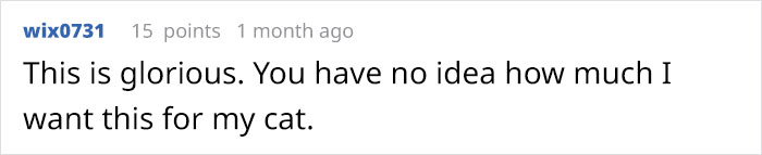 This Is What Happens When A Photographer Babysits Your Cat (10 Pics) This Is What Happens When A Photographer Babysits Your Cat (10 Pics)