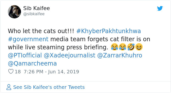 Pakistani Government Officials Accidentally Turn On Cat Filter During Facebook Live, Hilarity Ensues Pakistani Government Officials Accidentally Turn On Cat Filter During Facebook Live, Hilarity Ensues