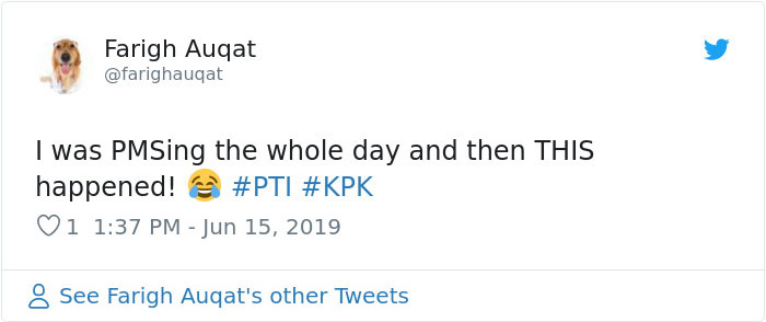 Pakistani Government Officials Accidentally Turn On Cat Filter During Facebook Live, Hilarity Ensues