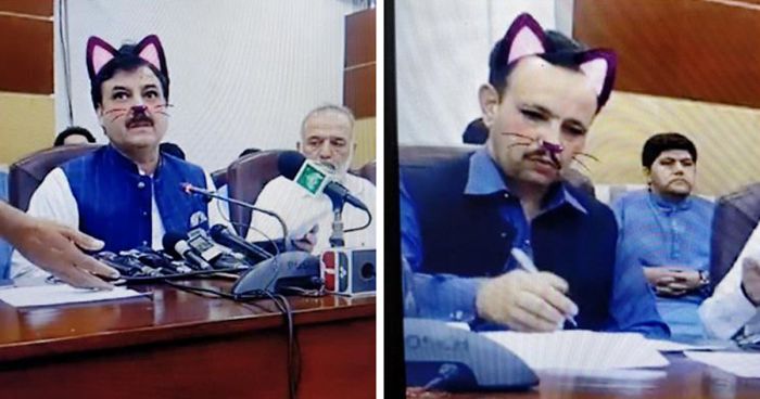 Pakistani Government Officials Accidentally Turn On Cat Filter During Facebook Live, Hilarity Ensues