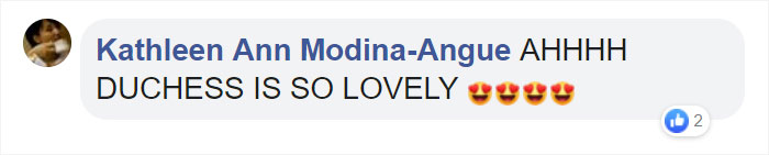 Owners Named Their Cat Duchess And Then She Gave Birth To All Of "The Aristocats" Cast