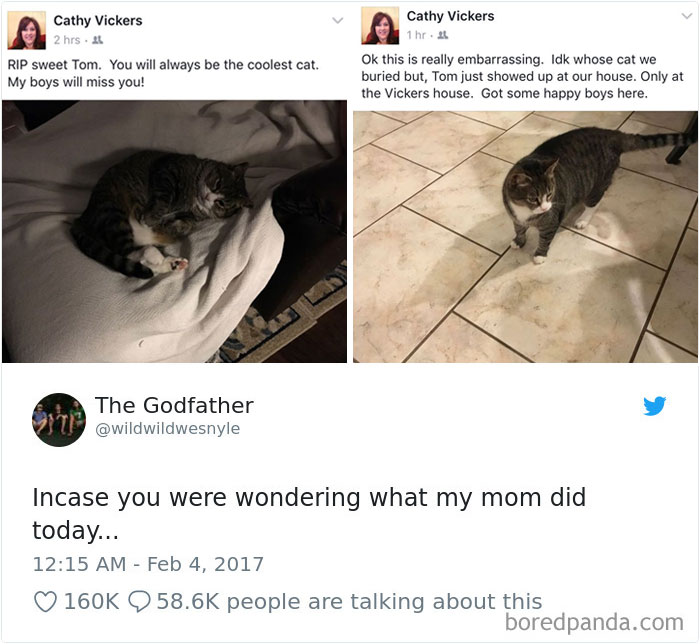 Cat Tweets
