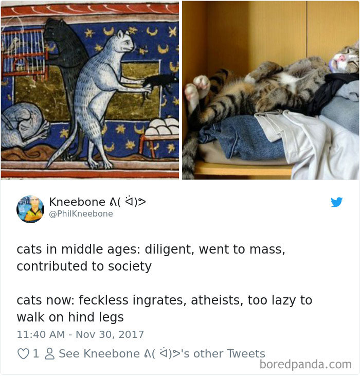Cat Tweets