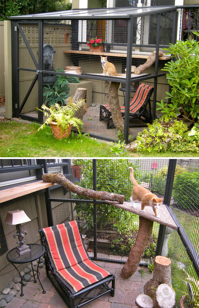 Cat Patios