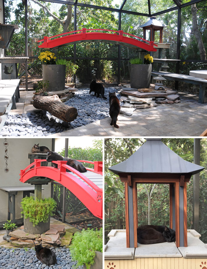 Cat Patios