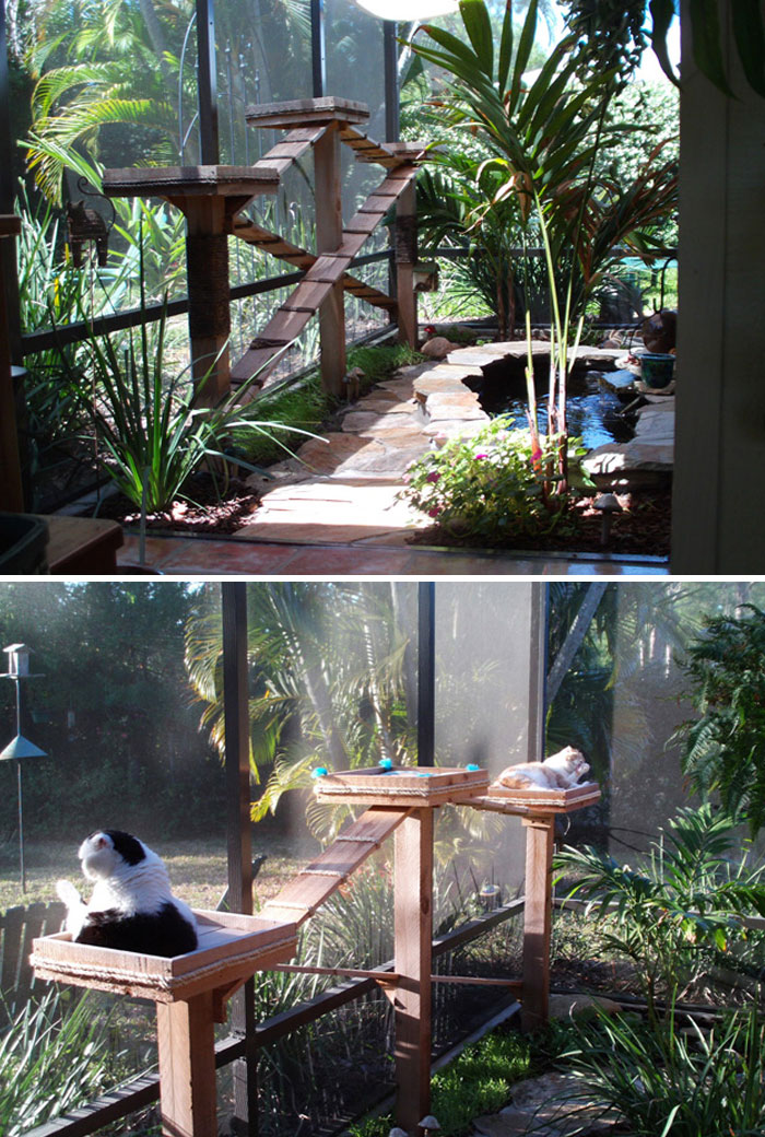 Cat Patios