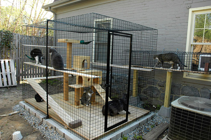 Cat Patios