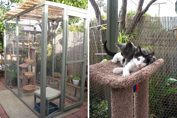 Cat Patios