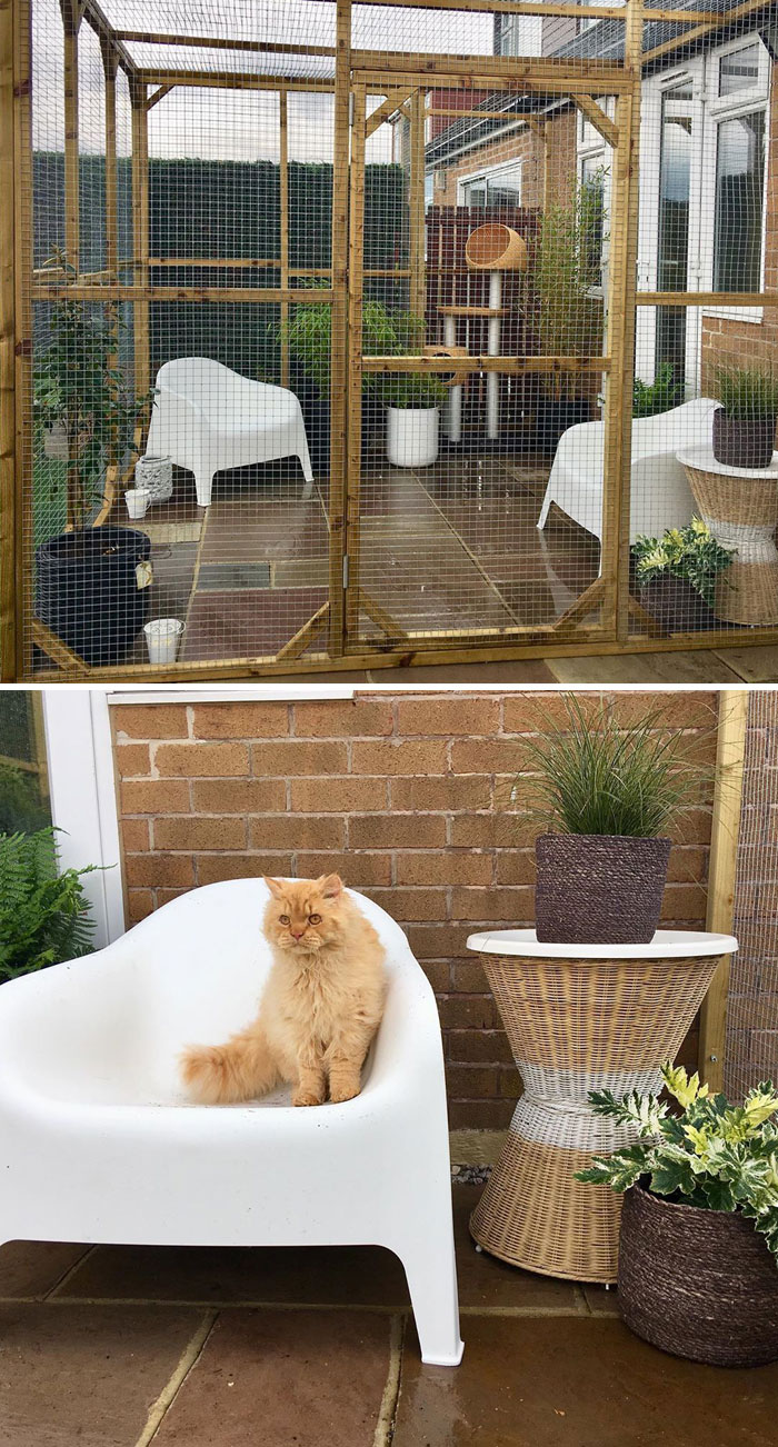 Cat Patios