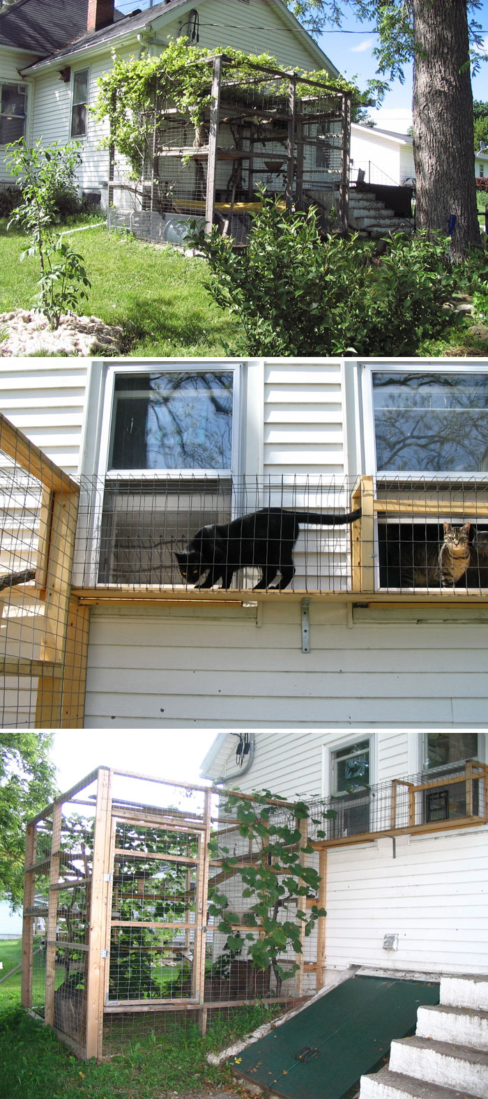Cat Patios