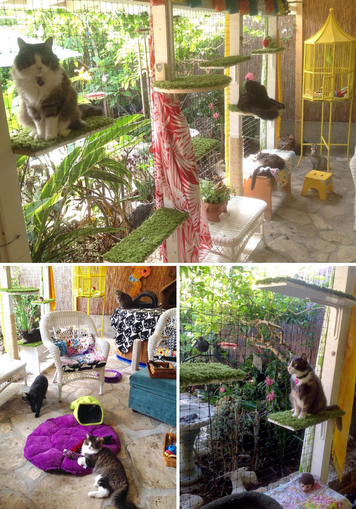 Cat Patios
