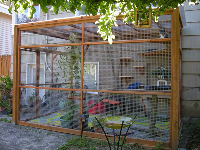 Cat Patios