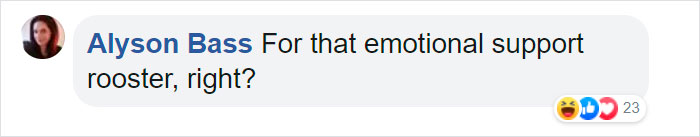 Amazon Is Selling Chicken Harnesses That Help Your Chicken Cross The Road Safely