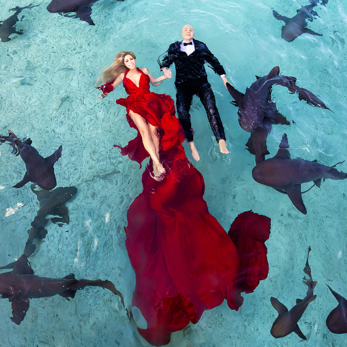 I Brought An Adventurous Couple To Exuma To Swim With Sharks, Pigs, And Stingrays