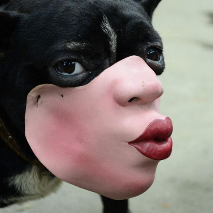 Amazon Is Selling Dog Muzzles That Look Like Human Faces And They&rsquo;re Too Bizarre