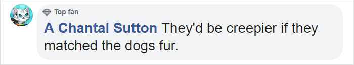 Amazon Is Selling Dog Muzzles That Look Like Human Faces And They&rsquo;re Too Bizarre