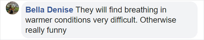 Amazon Is Selling Dog Muzzles That Look Like Human Faces And They&rsquo;re Too Bizarre