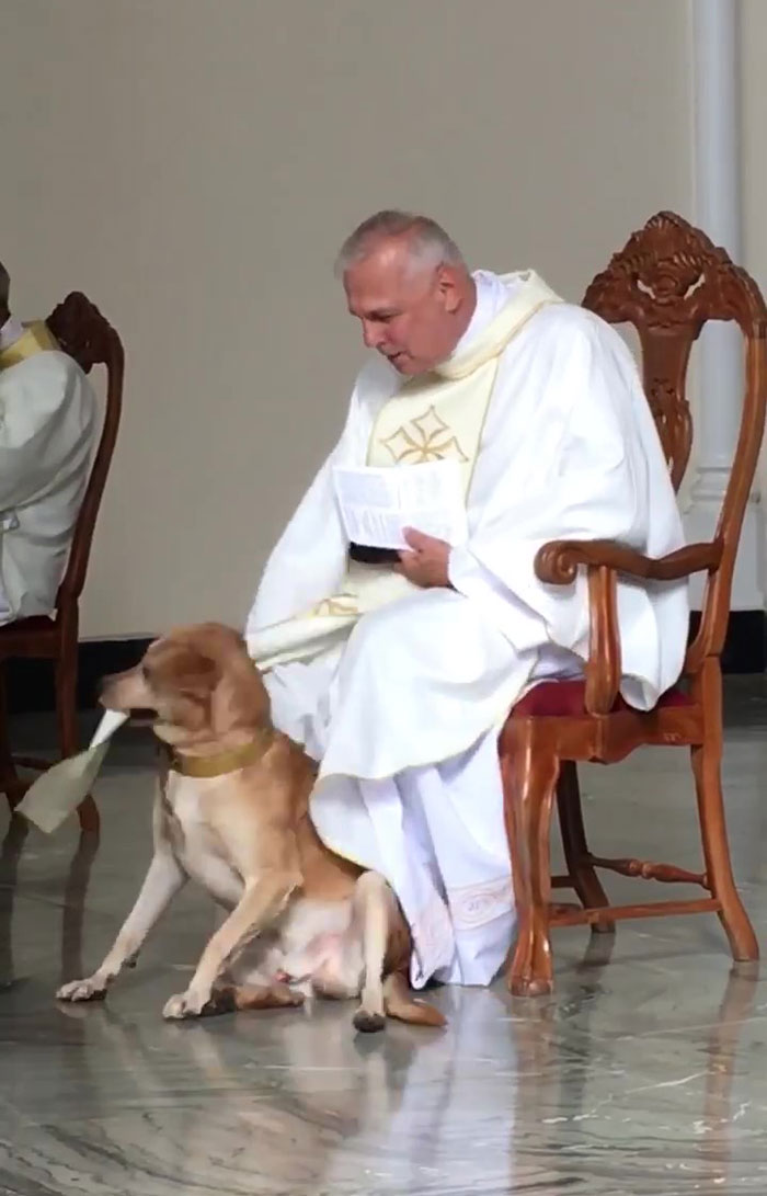 Priest Has An Adorable Reaction To A Dog Who Crashed His Church Service